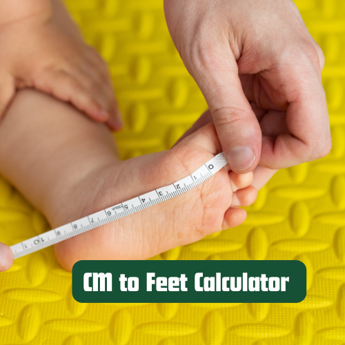 CM to Feet Calculator _
